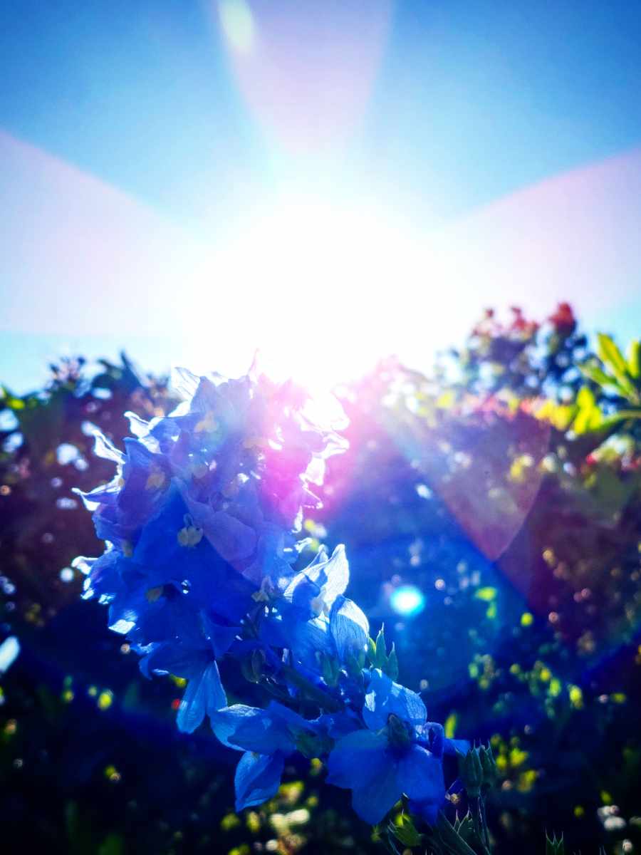 All Bodies are Summer Bodies – June 27,&nbsp;2021