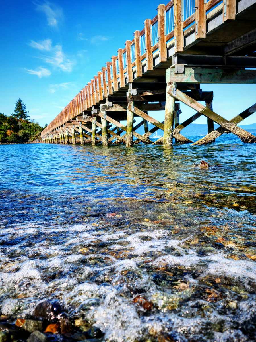 Seashells by the Seashore- August 1,&nbsp;2021